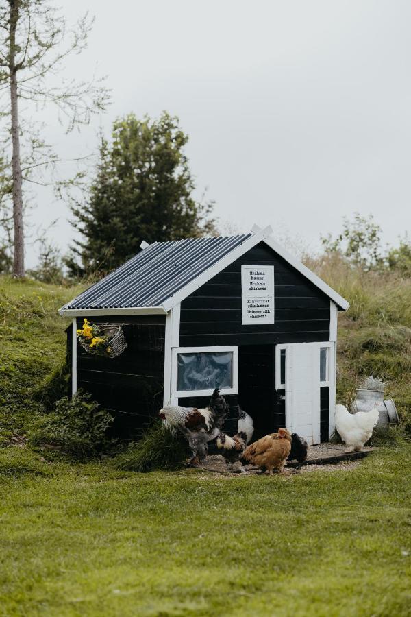Brunastathir Holiday Home Barð المظهر الخارجي الصورة
